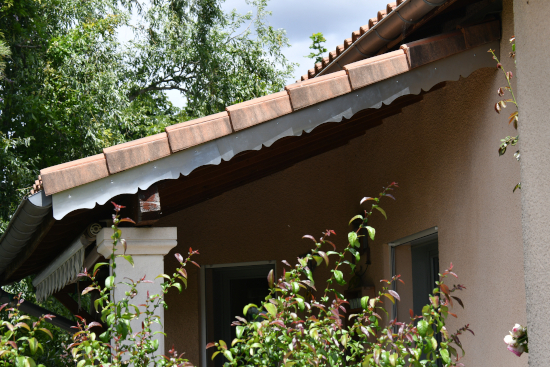 Ornement de toit et décoration extérieure en Zinc naturel